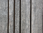 DSCN2281-small.jpg